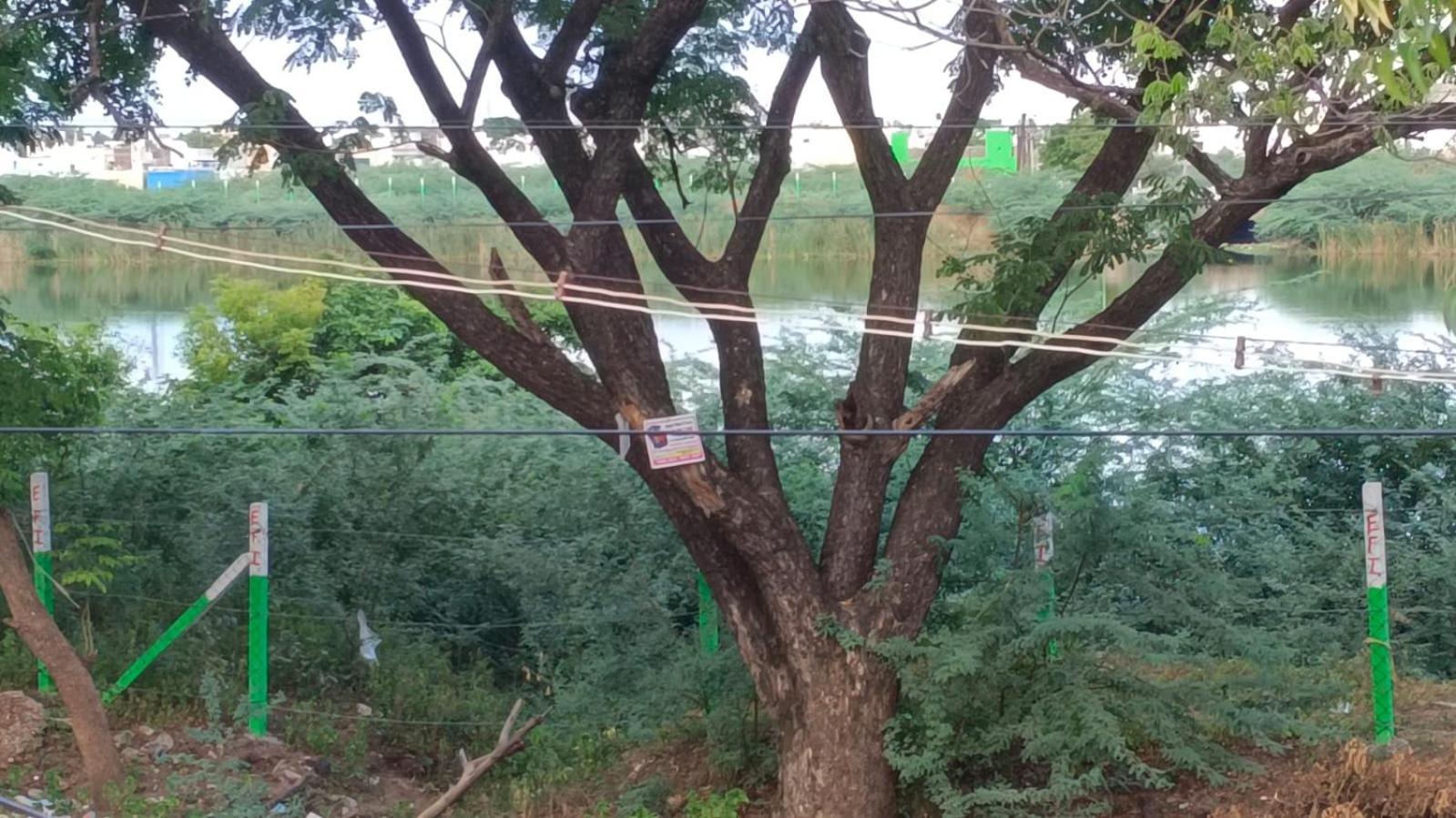 Madurai Koodal Nagar Homestay Eksteriør billede